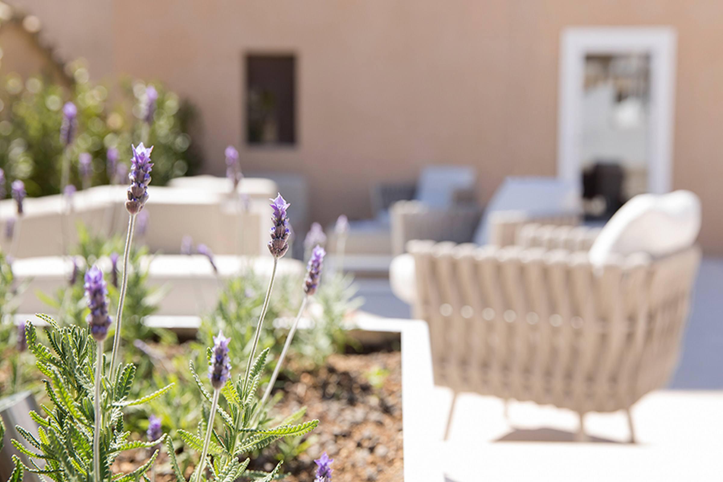 Convent De La Missio - Grand Luxury Boutique Hotel, Adults Only Palma de Mallorca Zewnętrze zdjęcie